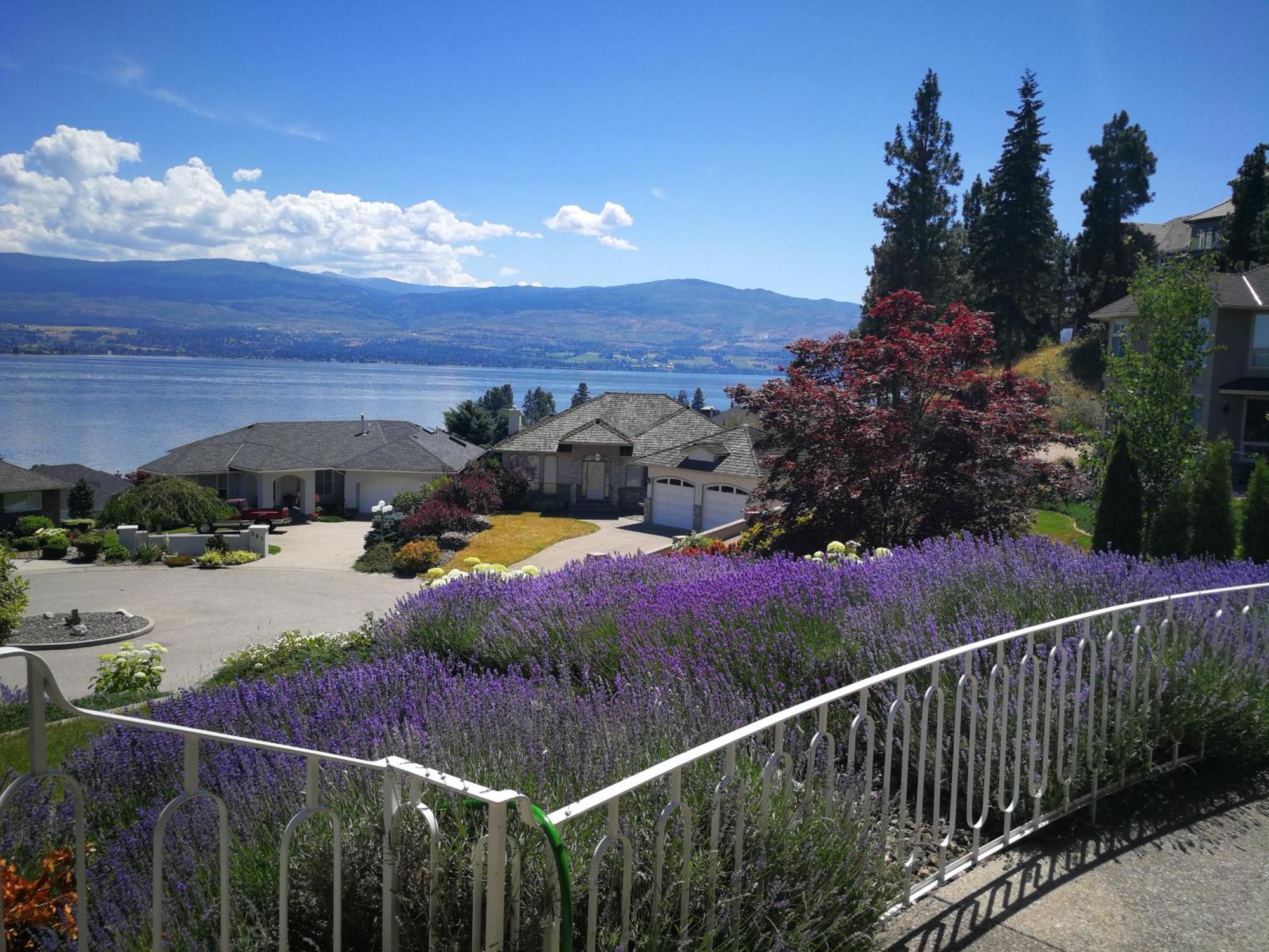 Casa Grande Lakeview House West Kelowna Phòng bức ảnh